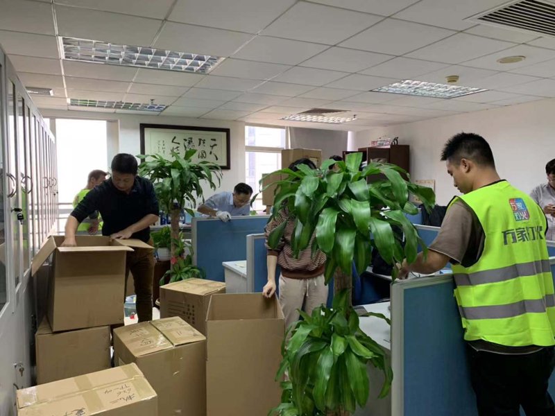 张掖水牛搬家：一场自然界的奇妙挑战